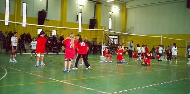 2003: pallavolo