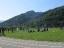 2011: Torneo della Romagna Toscana